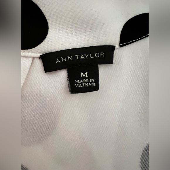 Ann Taylor Belted Dot Dress - Picture 11 of 12